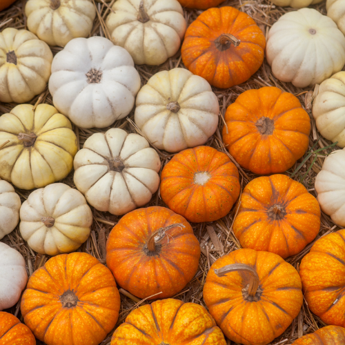 Pumpkins